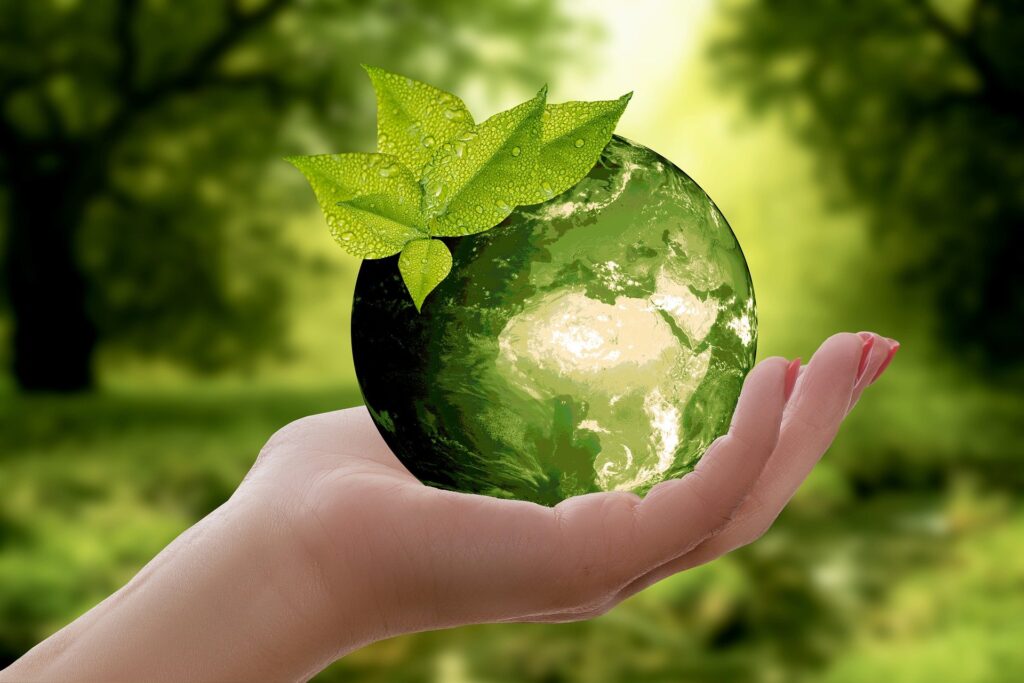 world-environment-day-2022-kab-aur-kyon-manaya-jata-hai
